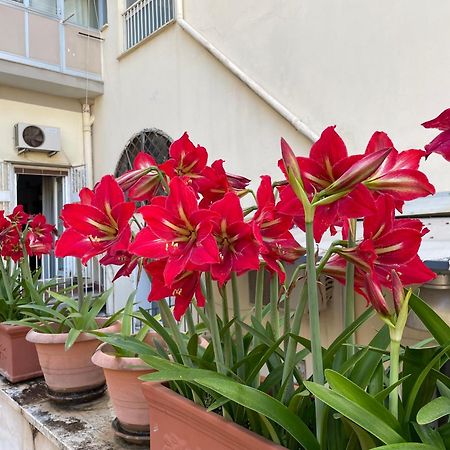 Il Giglio Rosso Apartment Napoli Bagian luar foto